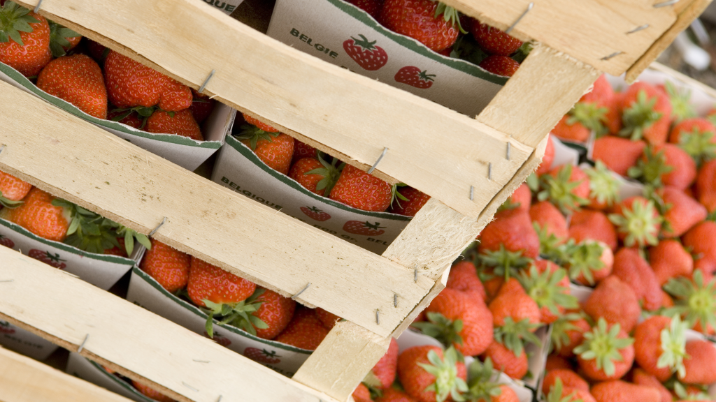 case of strawberries for food service