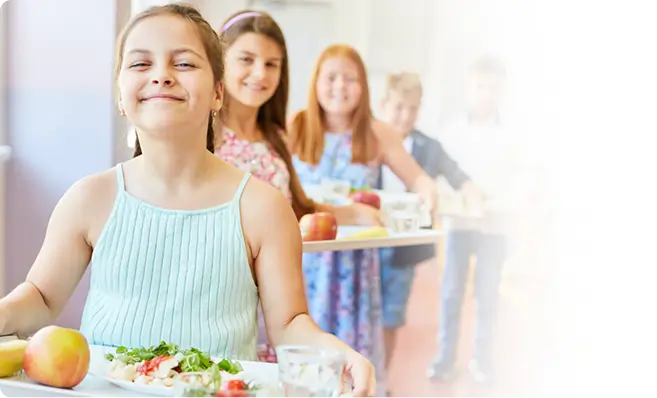 k-12 school districts